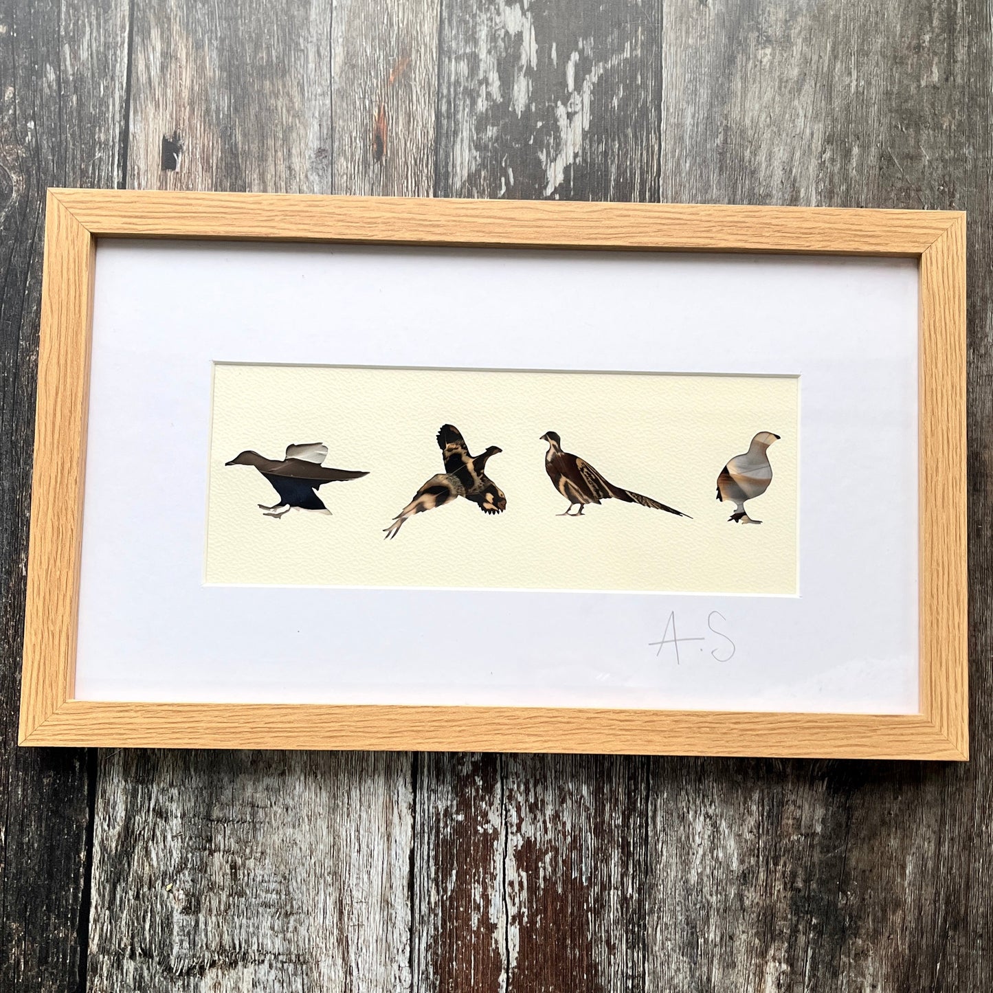 British Game Bird Feather Artwork