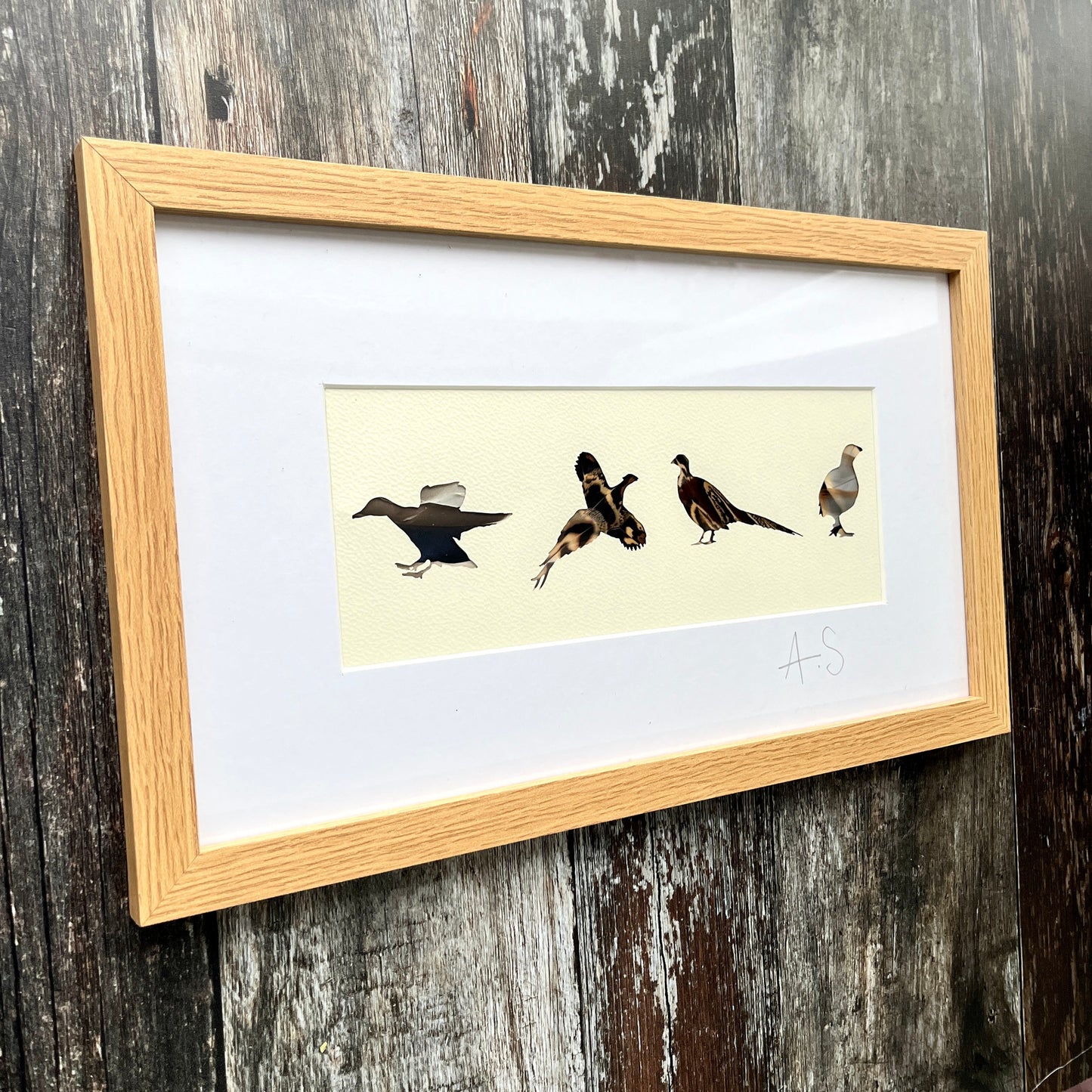 British Game Bird Feather Artwork