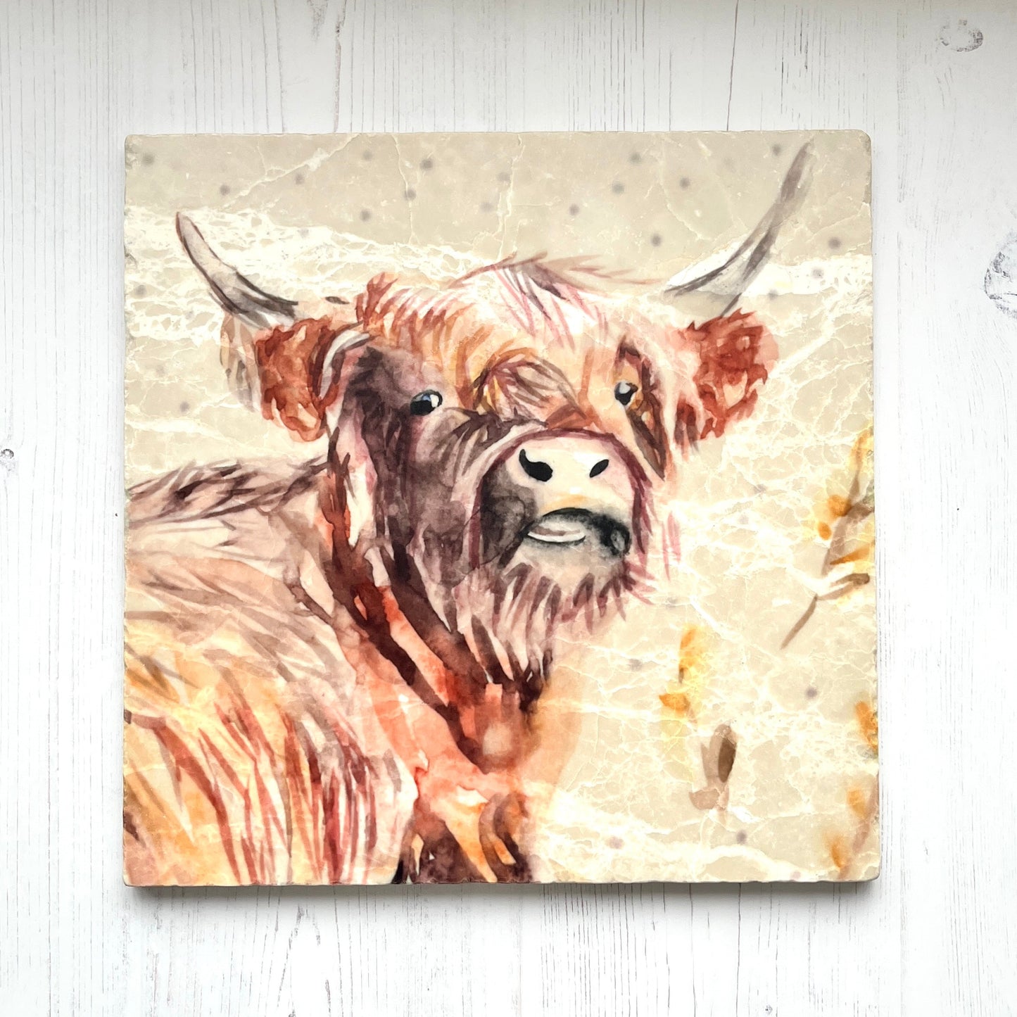 Large Highland Head Marble Trivet