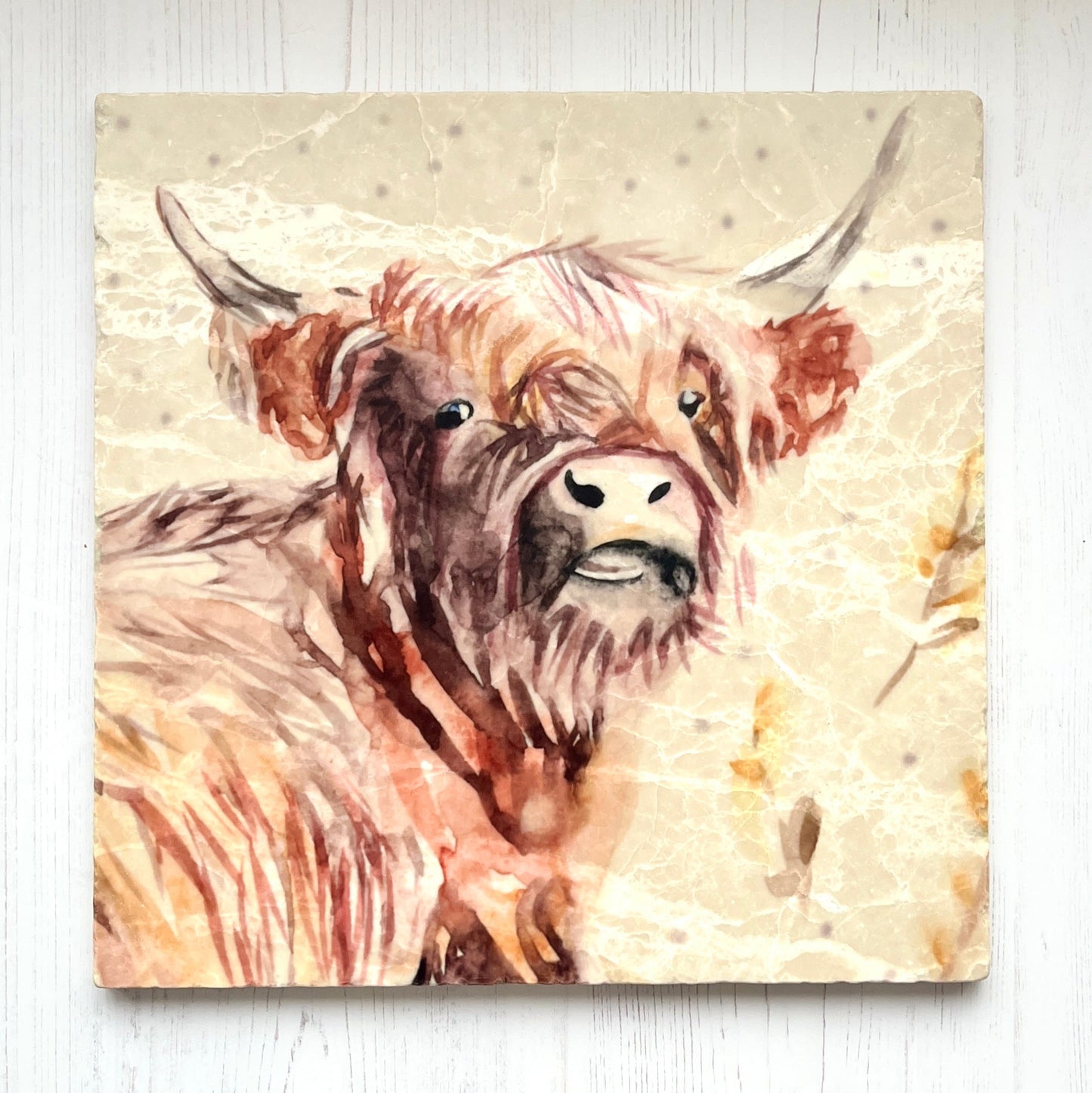 Large Highland Head Marble Trivet