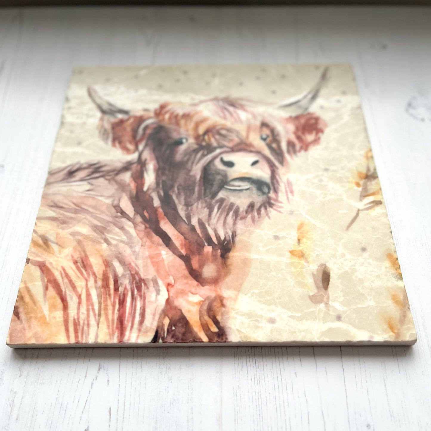 Large Highland Head Marble Trivet