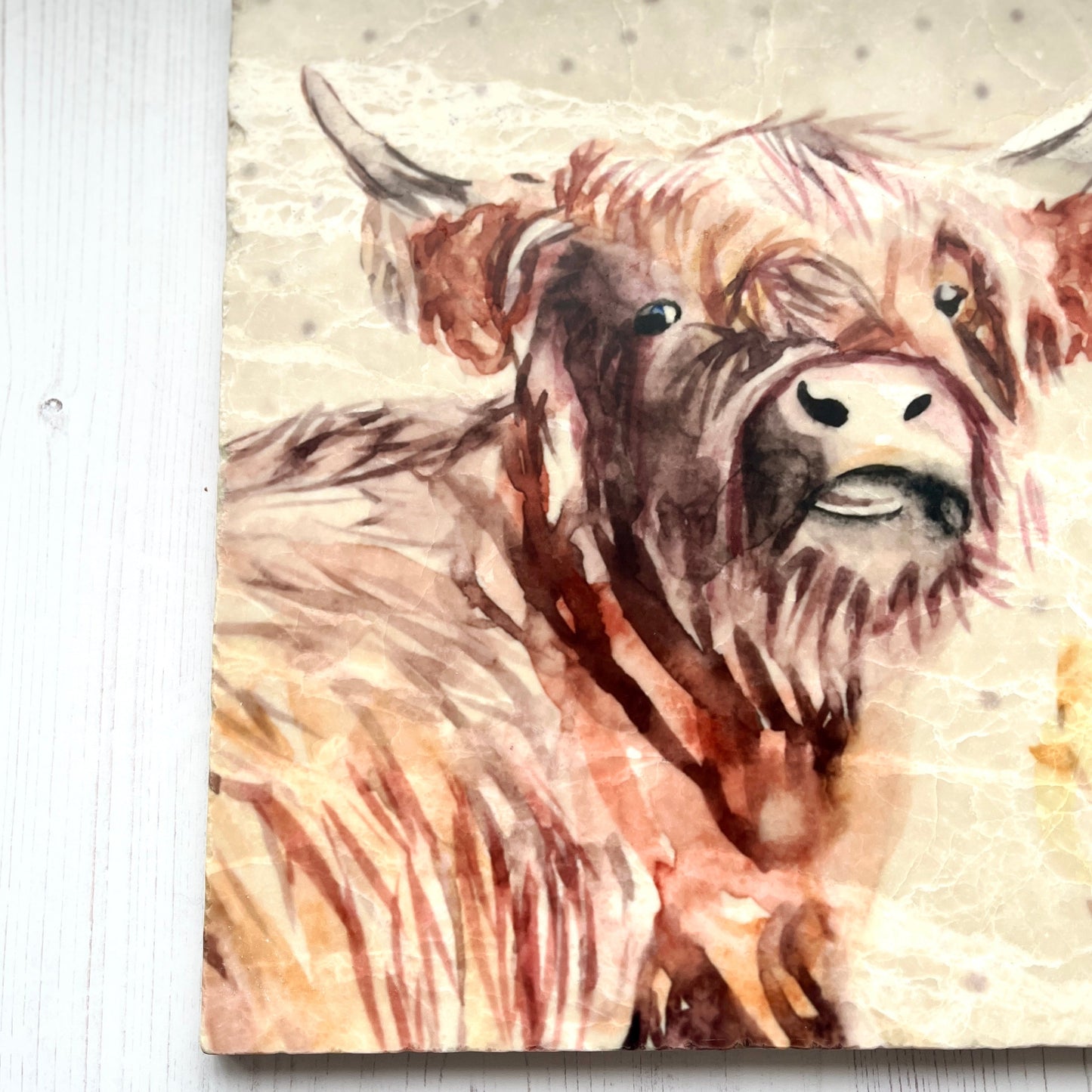 Large Highland Head Marble Trivet
