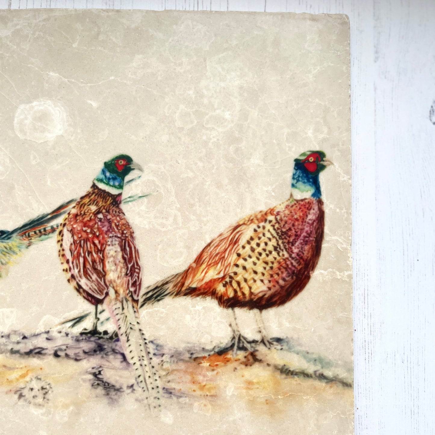 Large Pheasant Marble Trivet