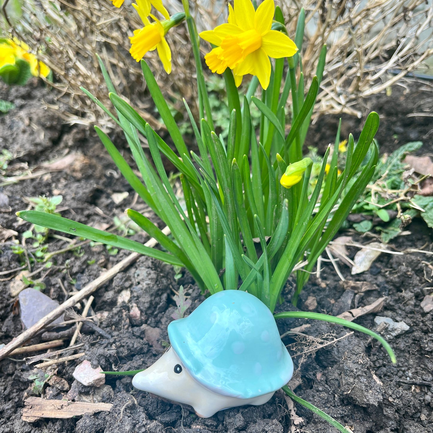 Ceramic Hedgehog Mushroom Figurines