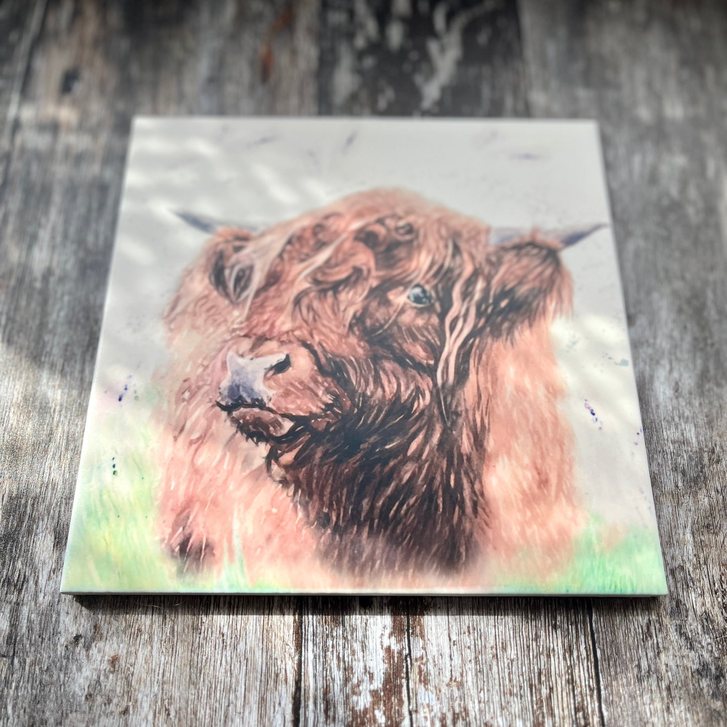 Square Ceramic Highland Cow Trivet