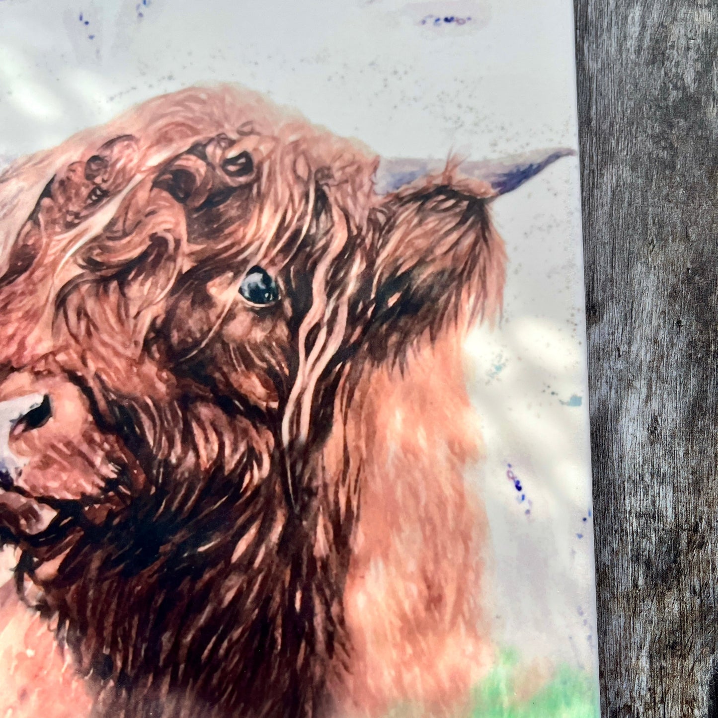 Square Ceramic Highland Cow Trivet