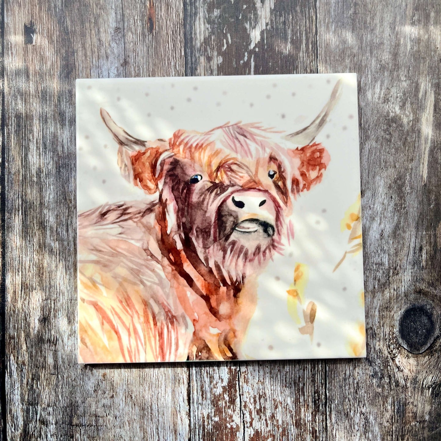 Square Ceramic Trivet – Adorable Highland Cow Face Design | Heat-Resistant Kitchen Decor