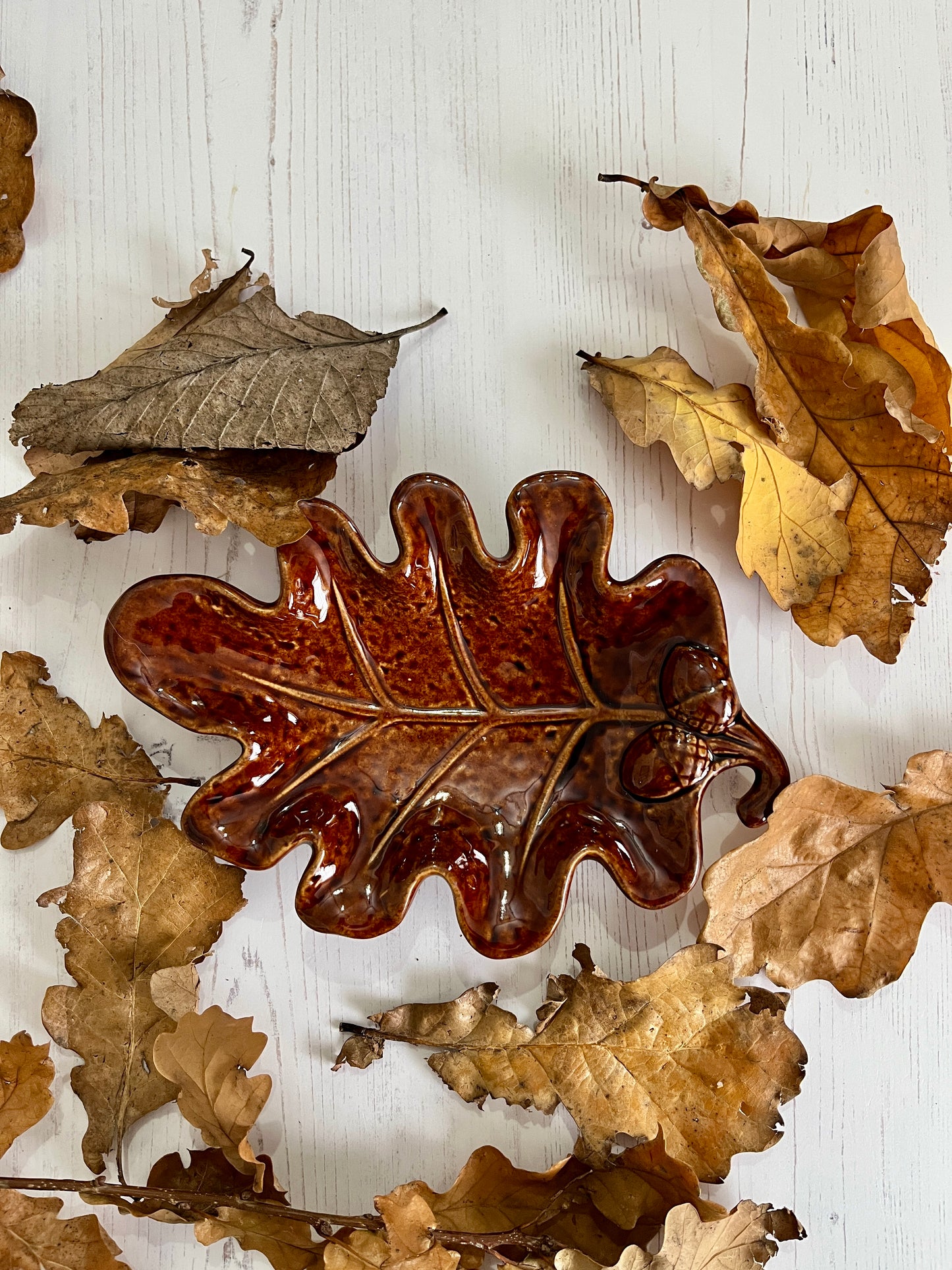 Ceramic Brown Oak Leaf with Embossed Acorns Dish