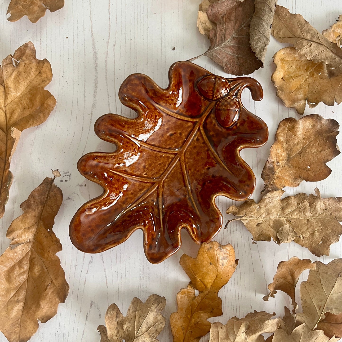 Decorative leaf-shaped brown ceramic plate surrounded by dried leaves on a light wooden surface