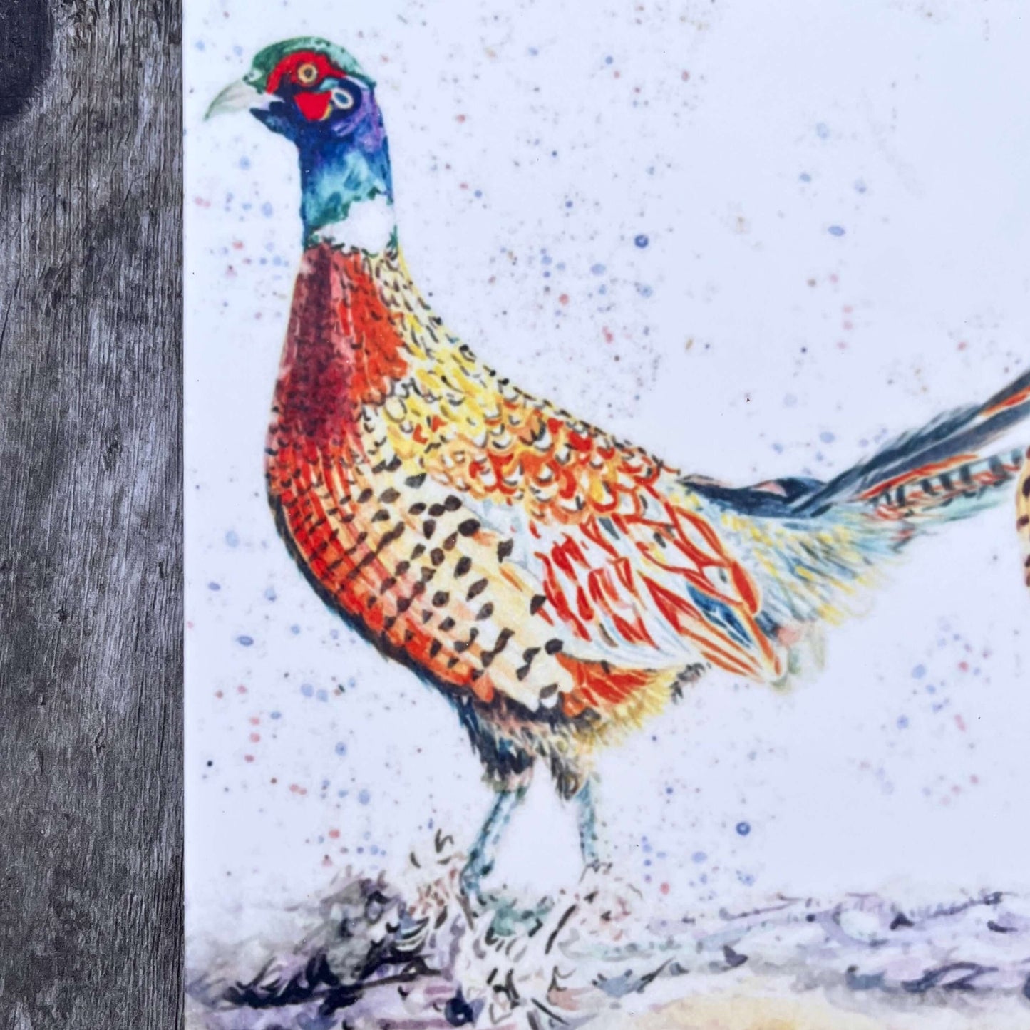 Square Pheasant Trivet Close Up of Left Pheasant