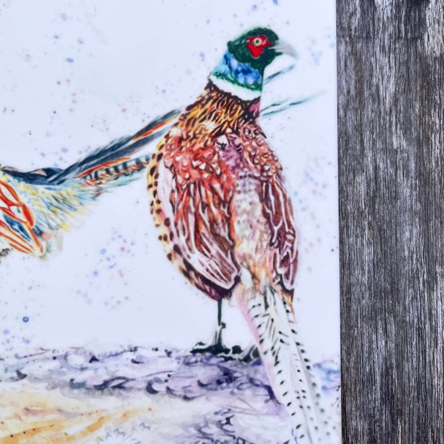 Square Pheasant Trivet Close Up of Right Pheasant