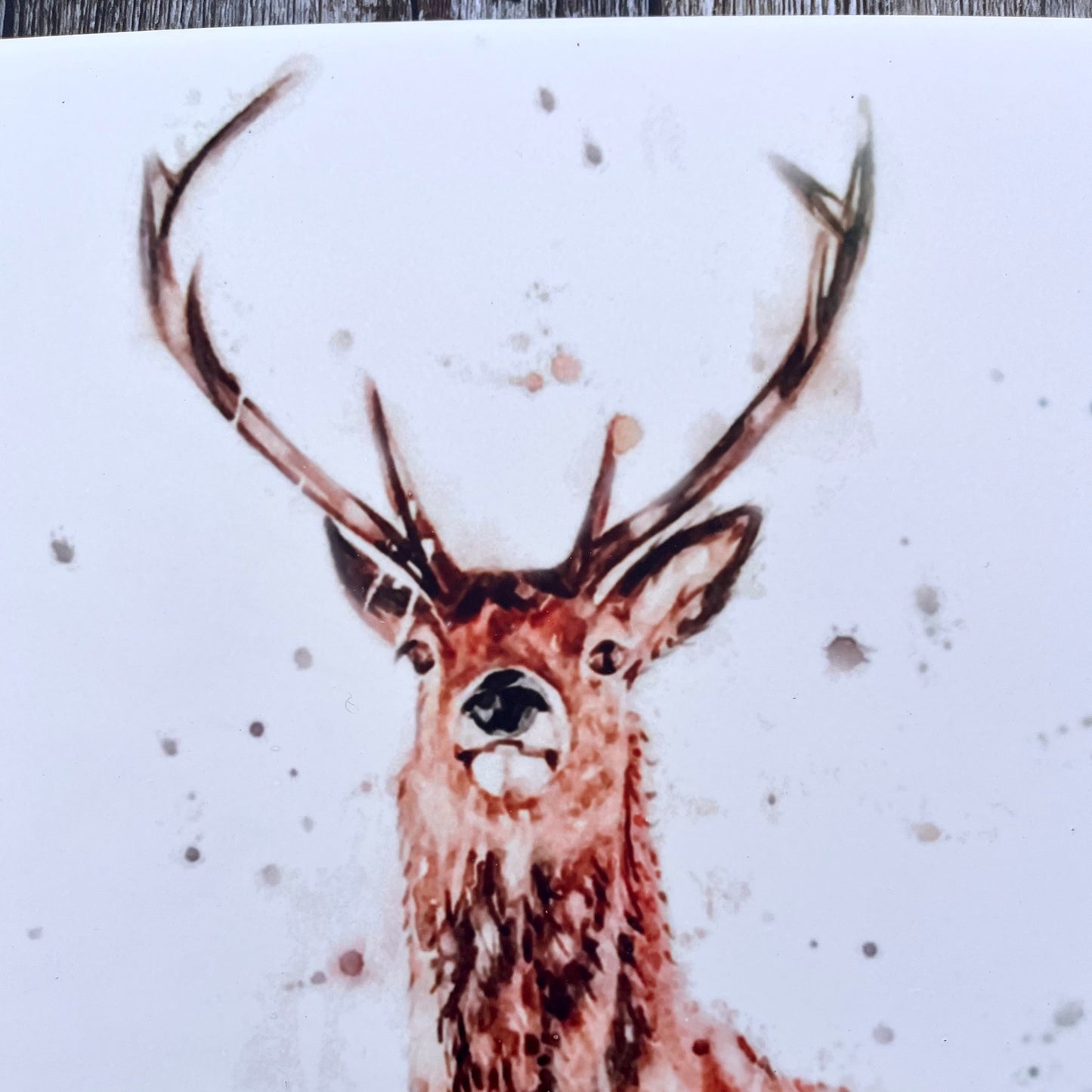 Stag Ceramic Trivet