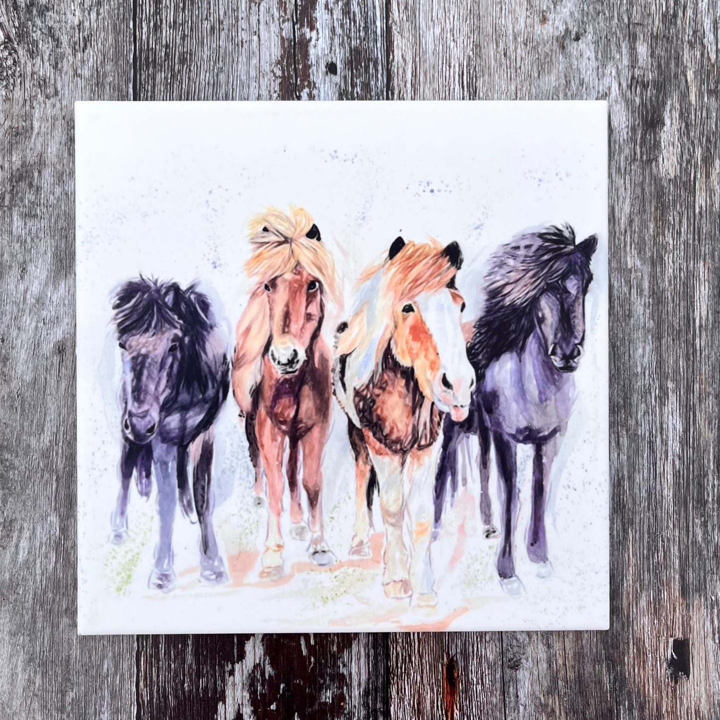 Square Pony Trivet