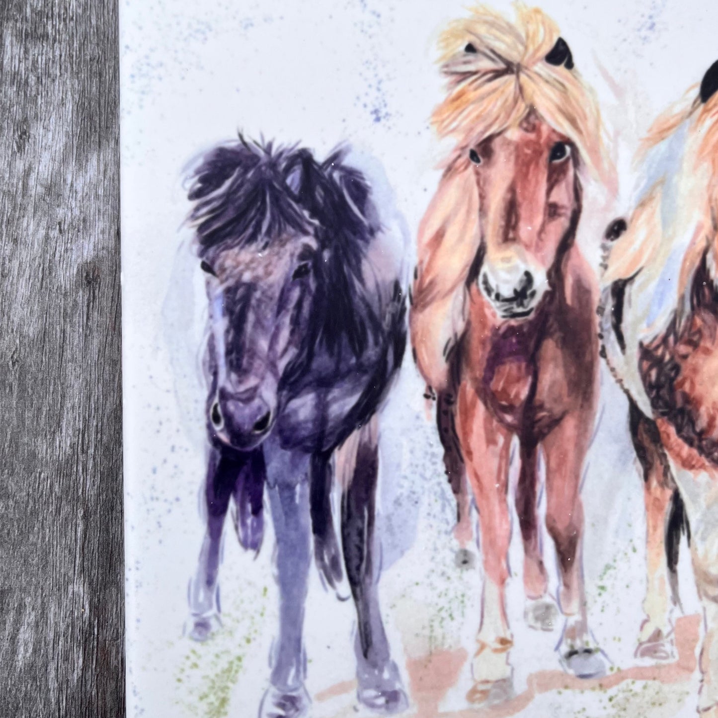 Square Pony Trivet