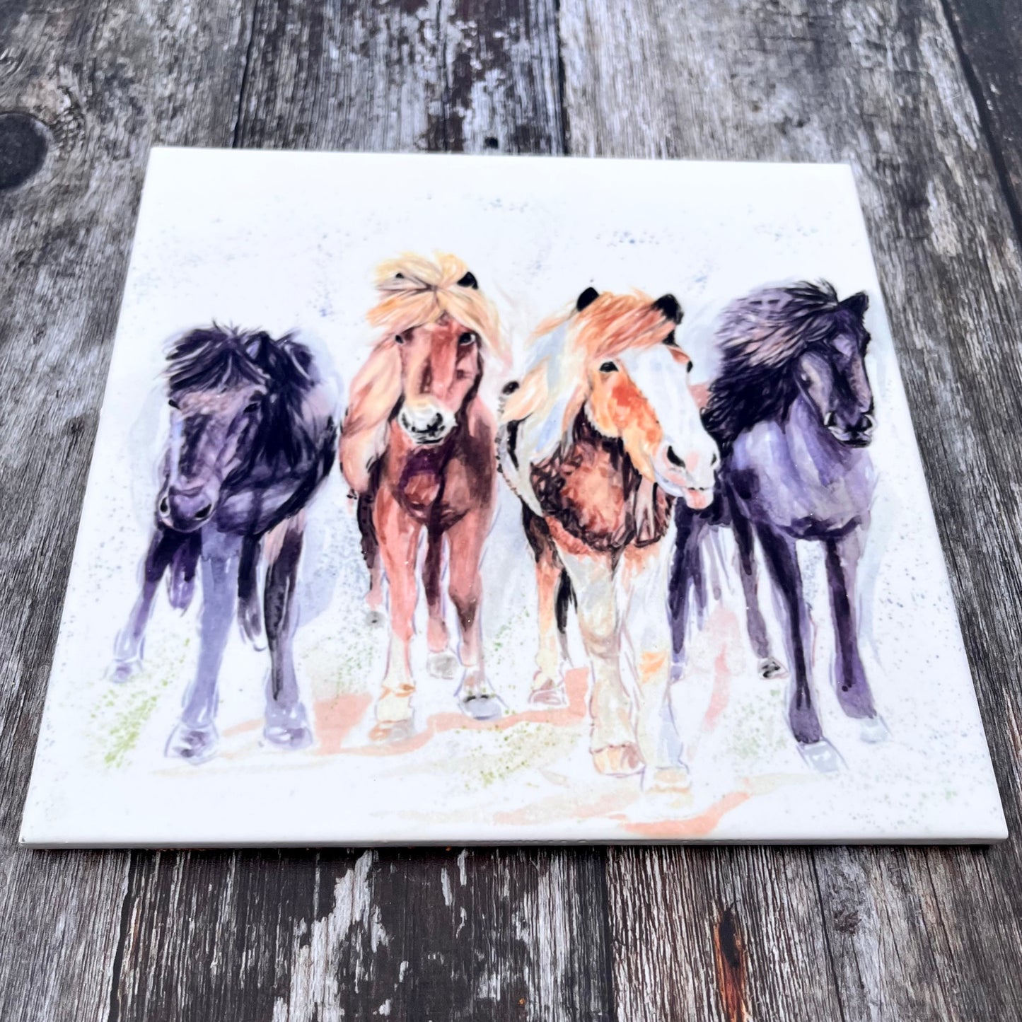 Square Pony Trivet