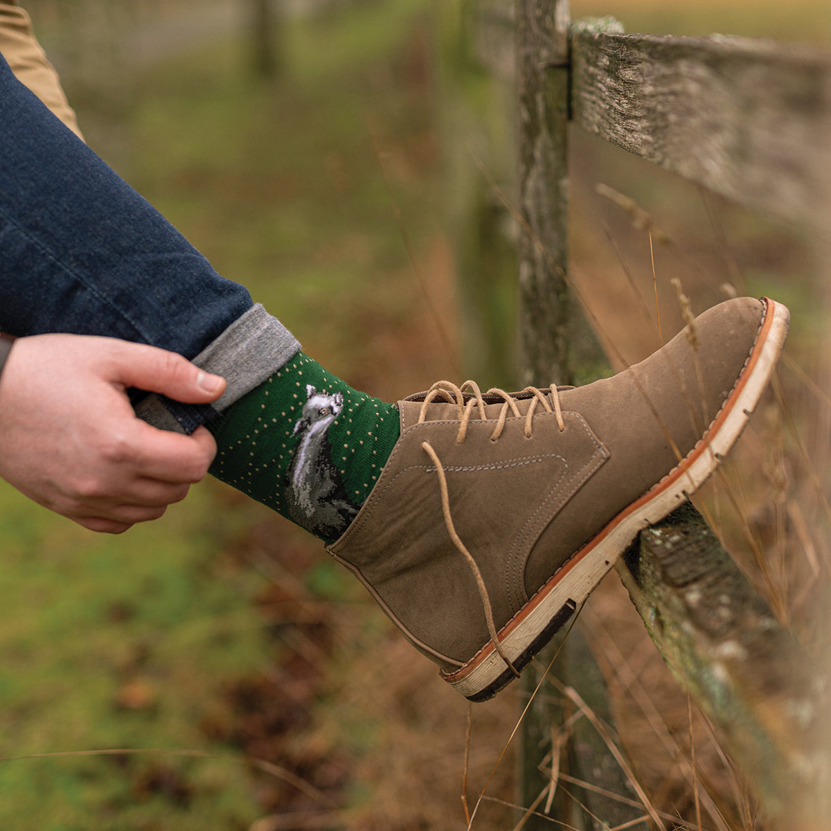 Forest Green Badger Socks