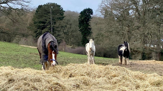 What Makes A Country Home? It's Not About Where You Live.