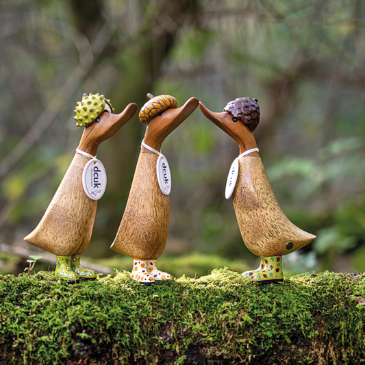 Woodland Wooden Character Ducks