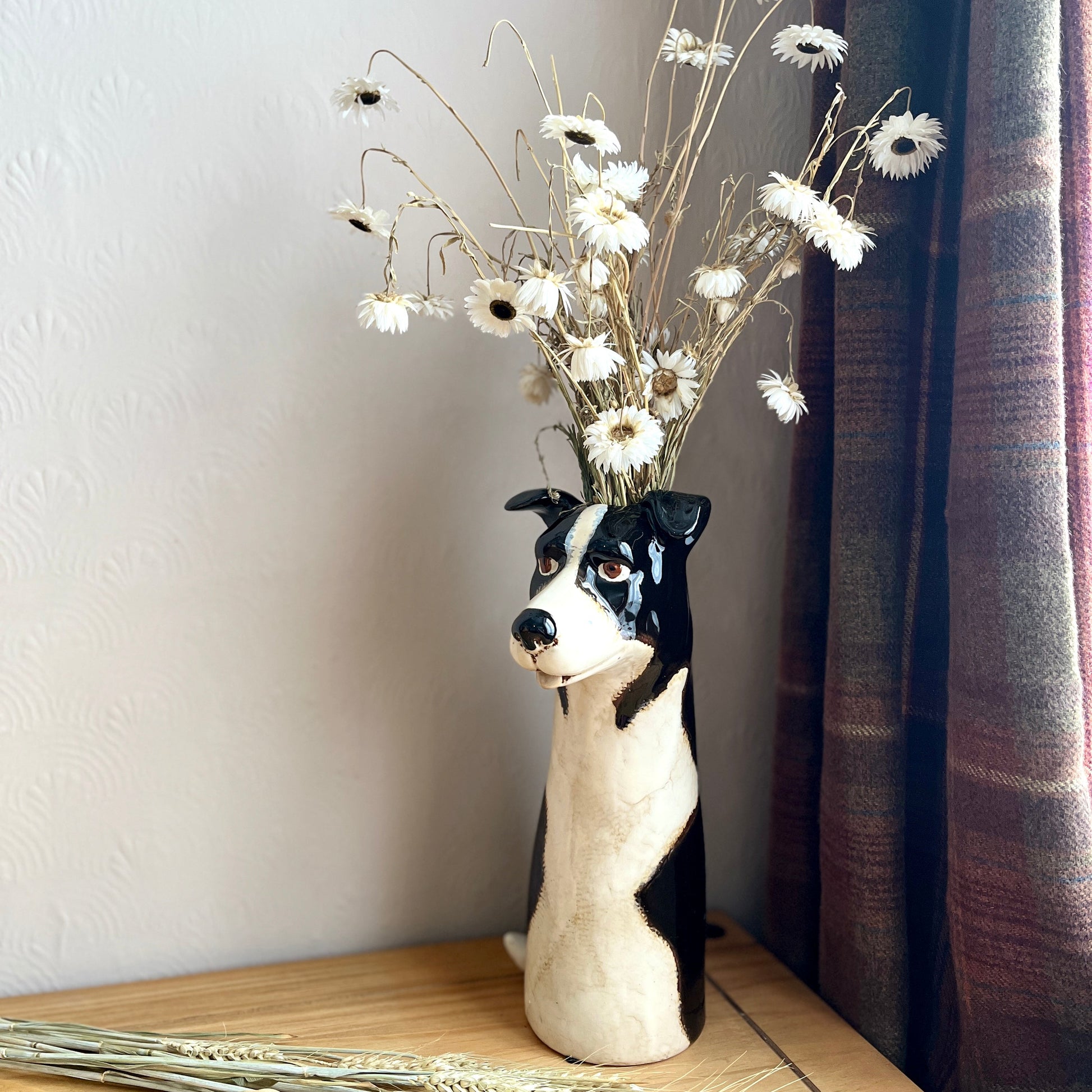 A tall ceramic vase in the shape of a Border Collie Dog holding a bunch of dried white flowers. Displayed on a wooden shelf with dried wheat placed in front and a dark tartan curtain and plain wall as a backdrop.