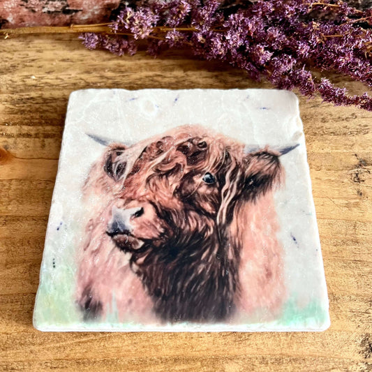 A square natural marble coaster with a watercolour painted highland cow, displayed on a shelf with purple dried flowers as decoration.