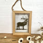 Red Deer Stag Framed Papercut Artwork