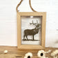 Red Deer Stag Framed Papercut Artwork