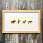 British Stag Framed Feather Artwork