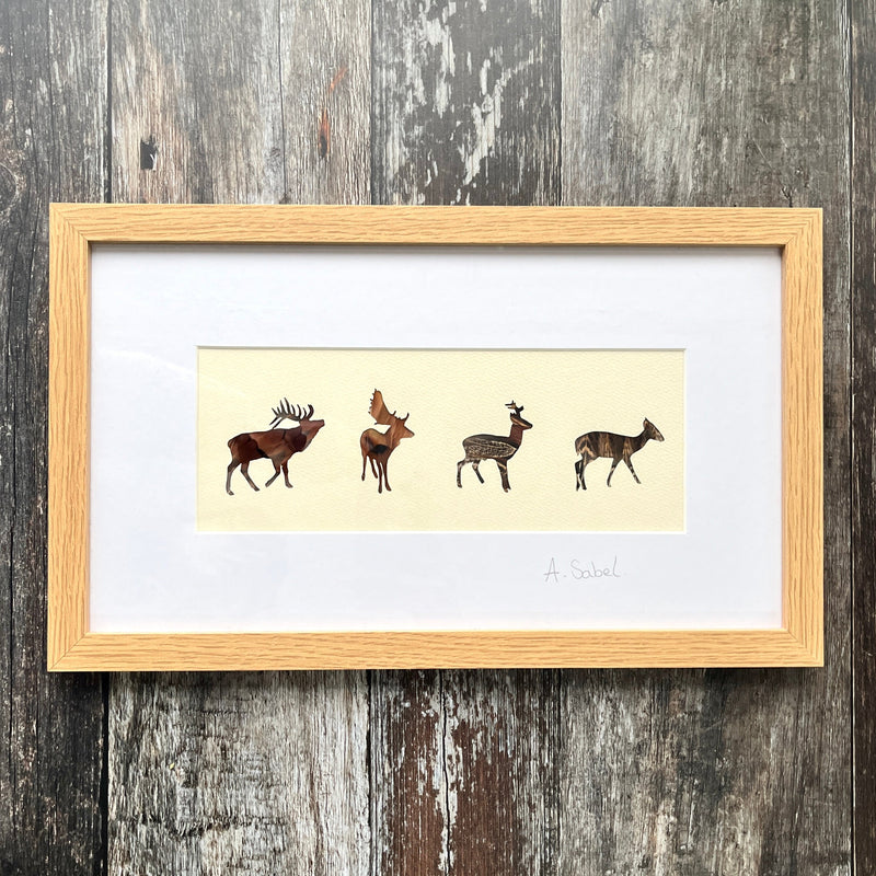 British Stag Framed Feather Artwork