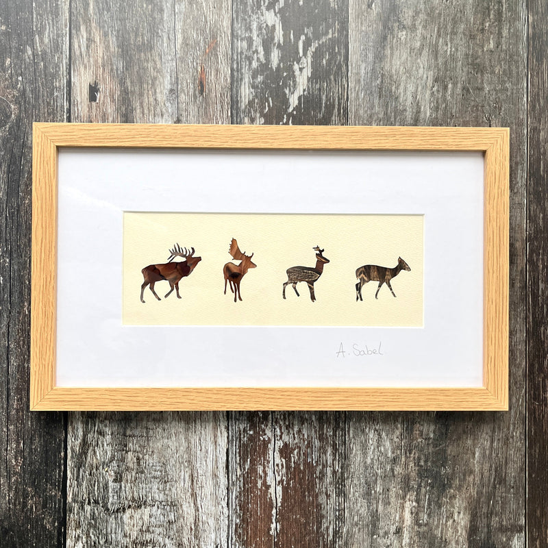 British Stag Framed Feather Artwork