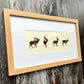 British Stag Framed Feather Artwork