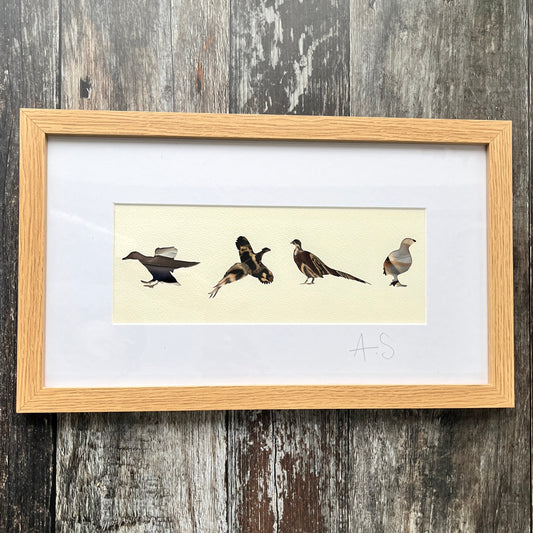 British Game Bird Feather Artwork