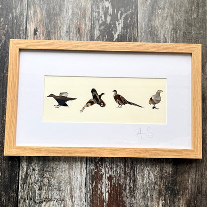 British Game Bird Feather Artwork