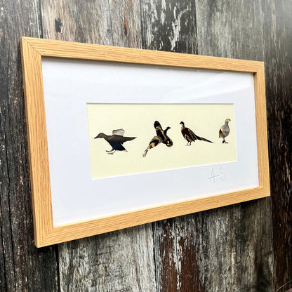 British Game Bird Feather Artwork
