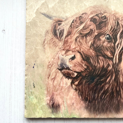 Large Highland Cow Marble Trivet