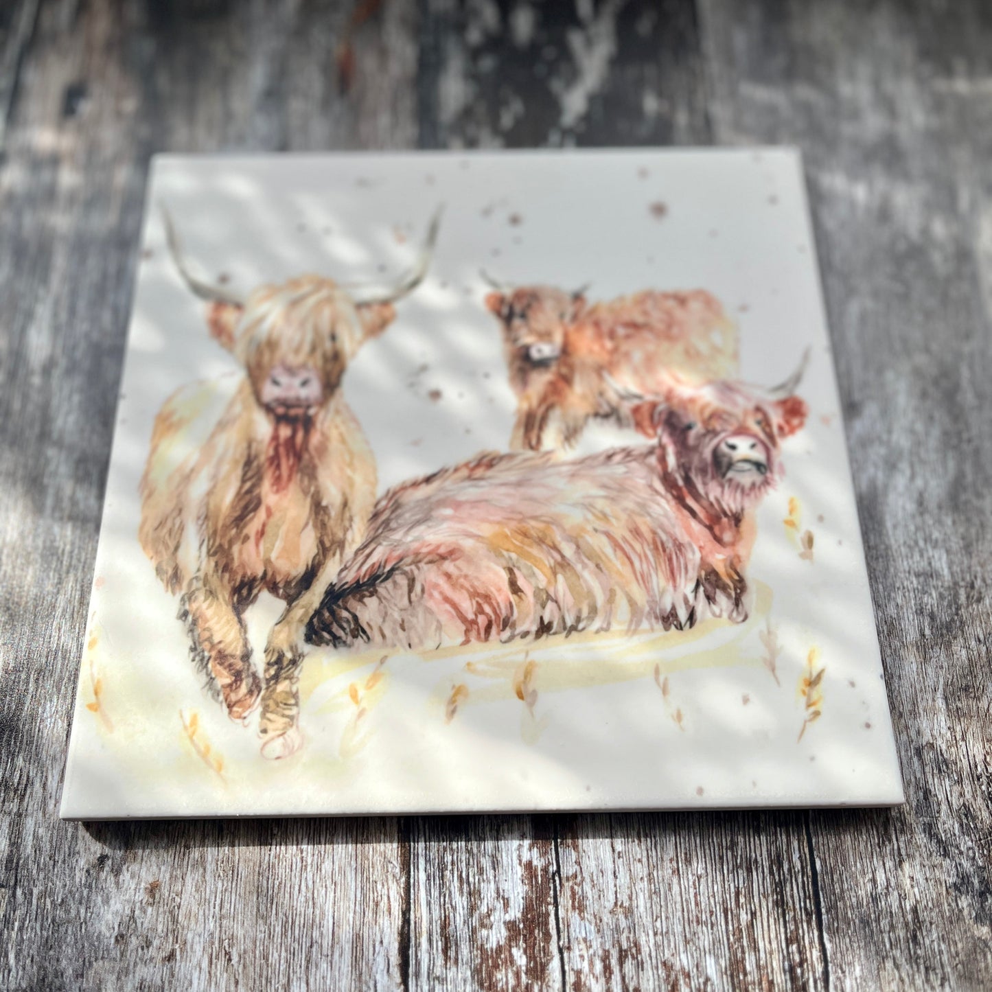 Highland Family Square Ceramic Trivet