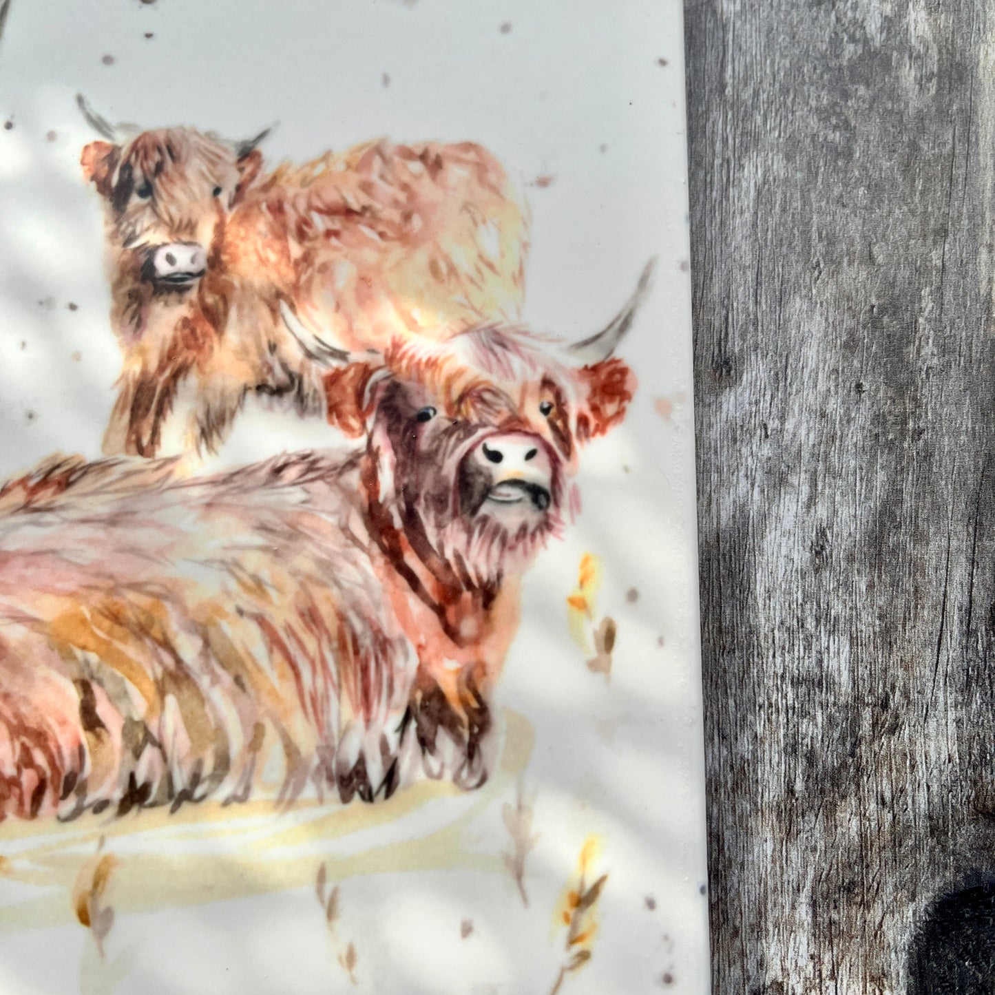 Highland Family Square Ceramic Trivet