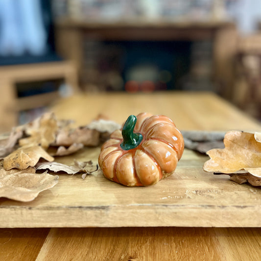 Decorative pumpkin with a green stem on a wooden surface
