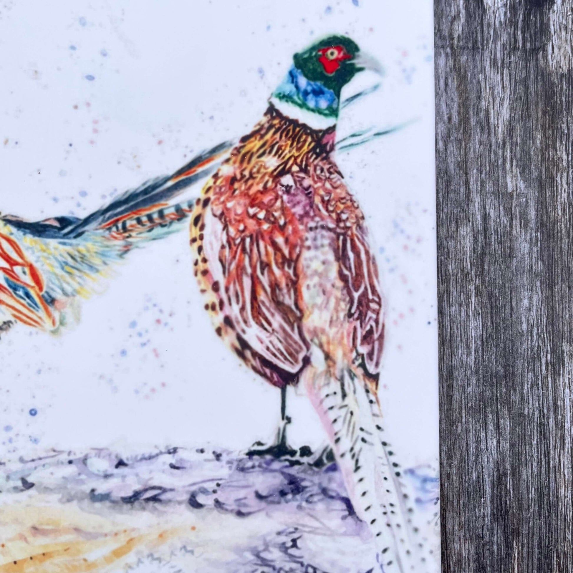 Square Pheasant Trivet Close Up of Right Pheasant