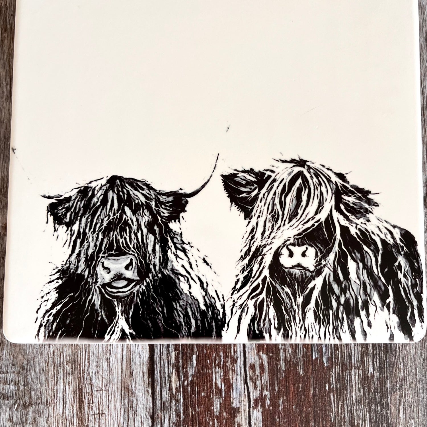 Highland Cow Ceramic Trivet Close Up Design