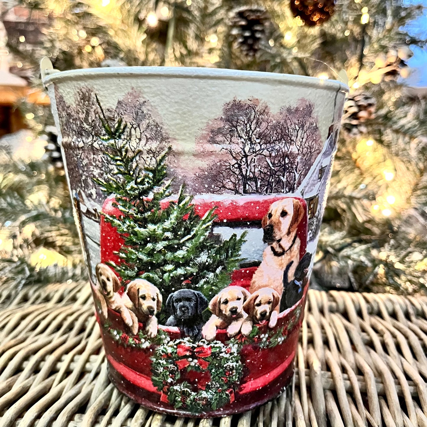 Metal Christmas Dog Bucket | Kindling Holder