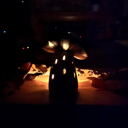 LED Light Up Mushroom House