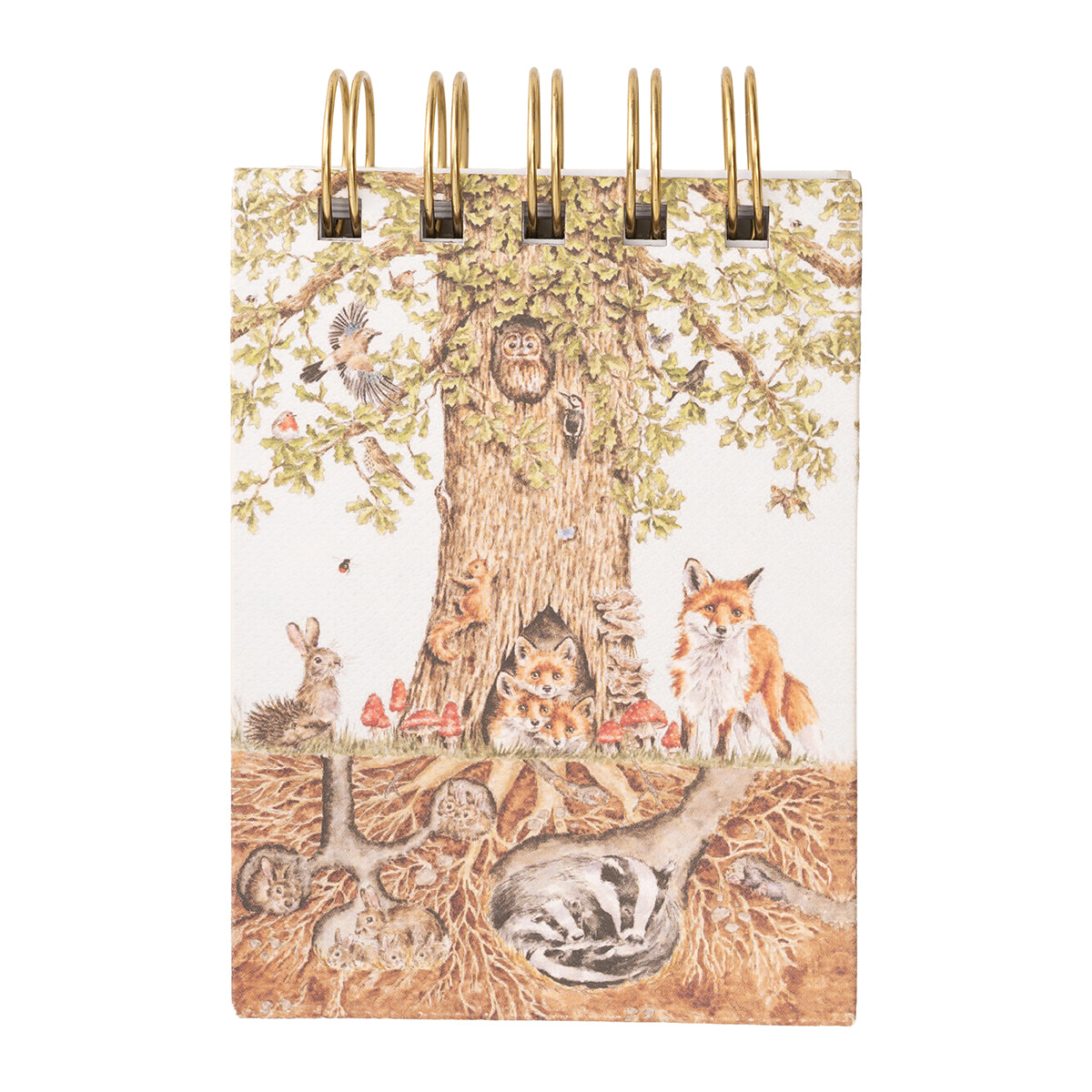 Woodland Nature Field Notebook