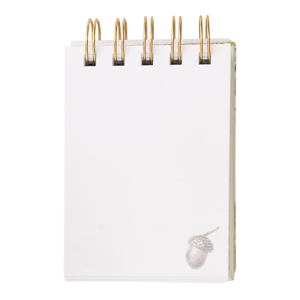 Woodland Nature Field Notebook