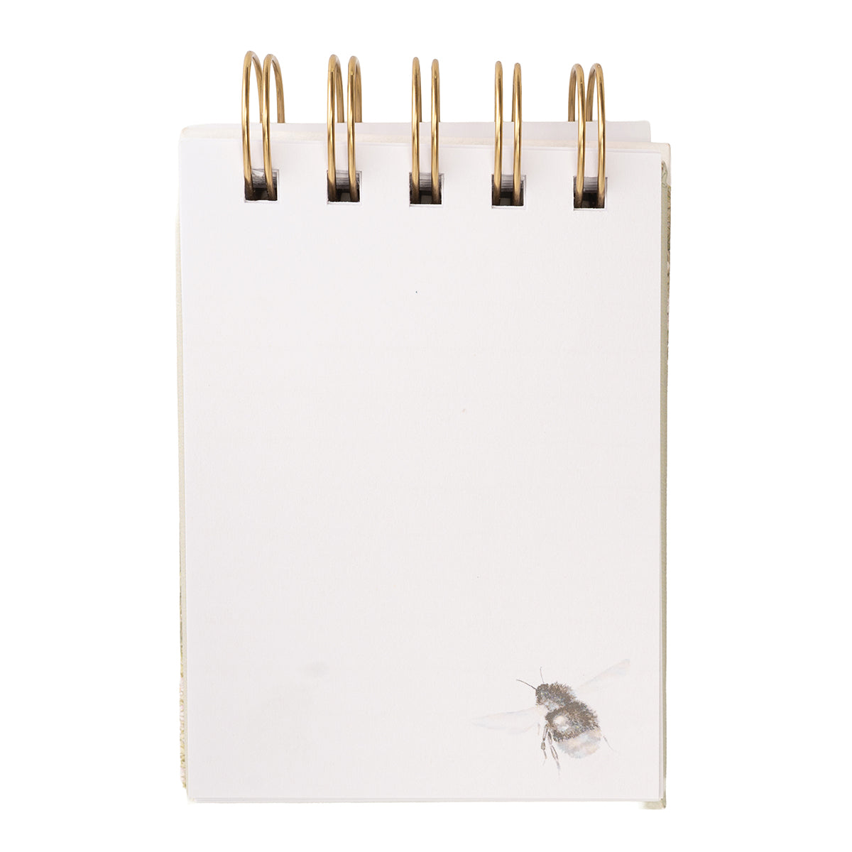 Hedgerow Nature Field Notebook