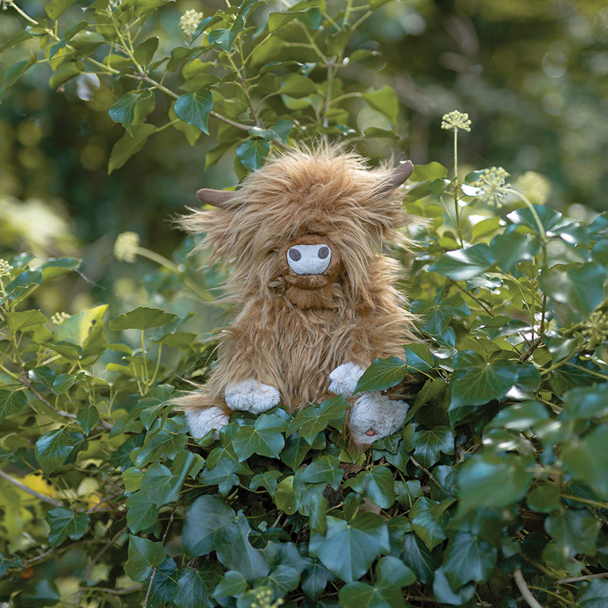 Large Gordon the Highland Cow Plush - Wrendale Designs