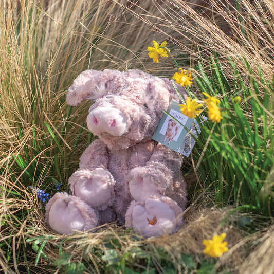 Large Vanessa the Pig Plush from Wrendale Designs
