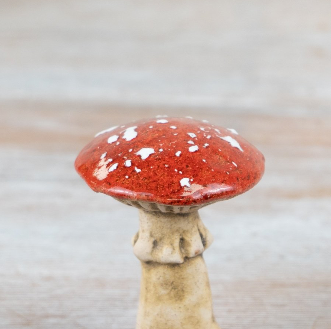 Red Ceramic Toadstools