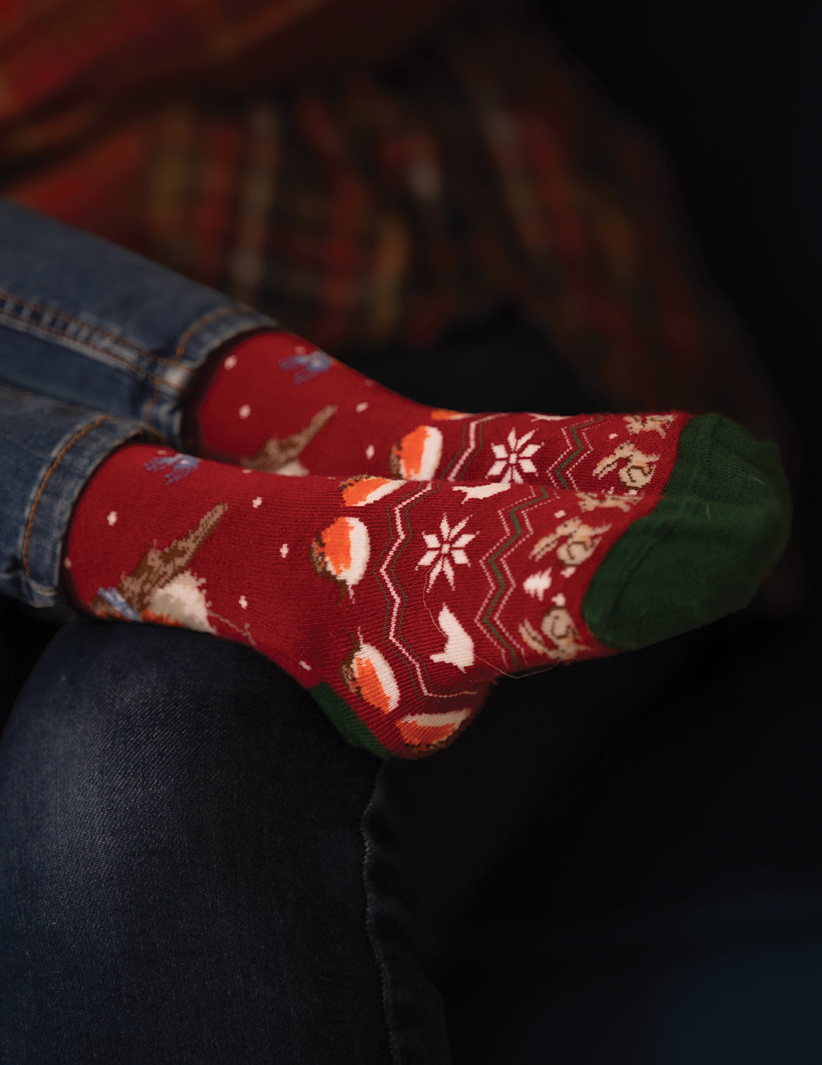 Xmas Robin Socks