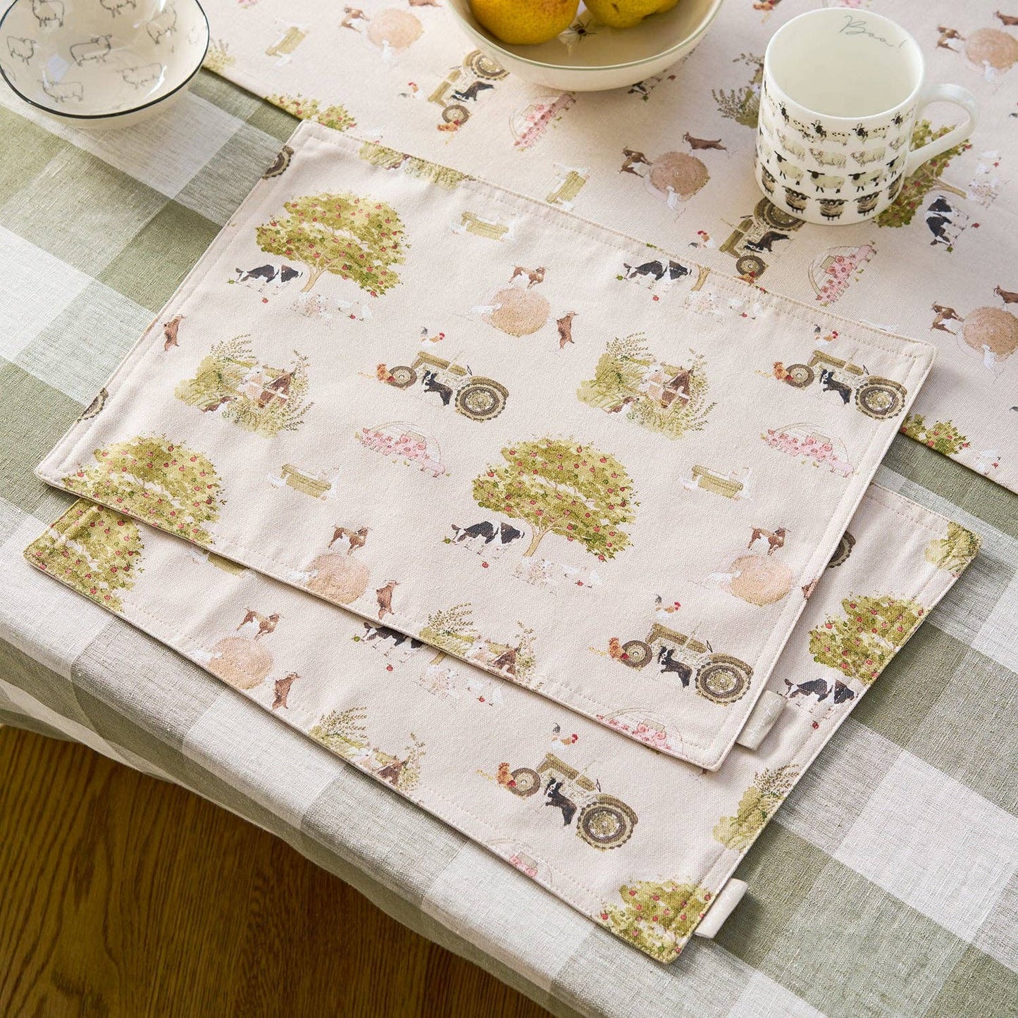 Farm Friends Washable Placemats (Set of 2)