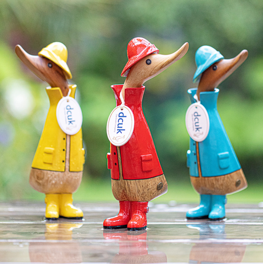 Rainy Day Wooden Ducks